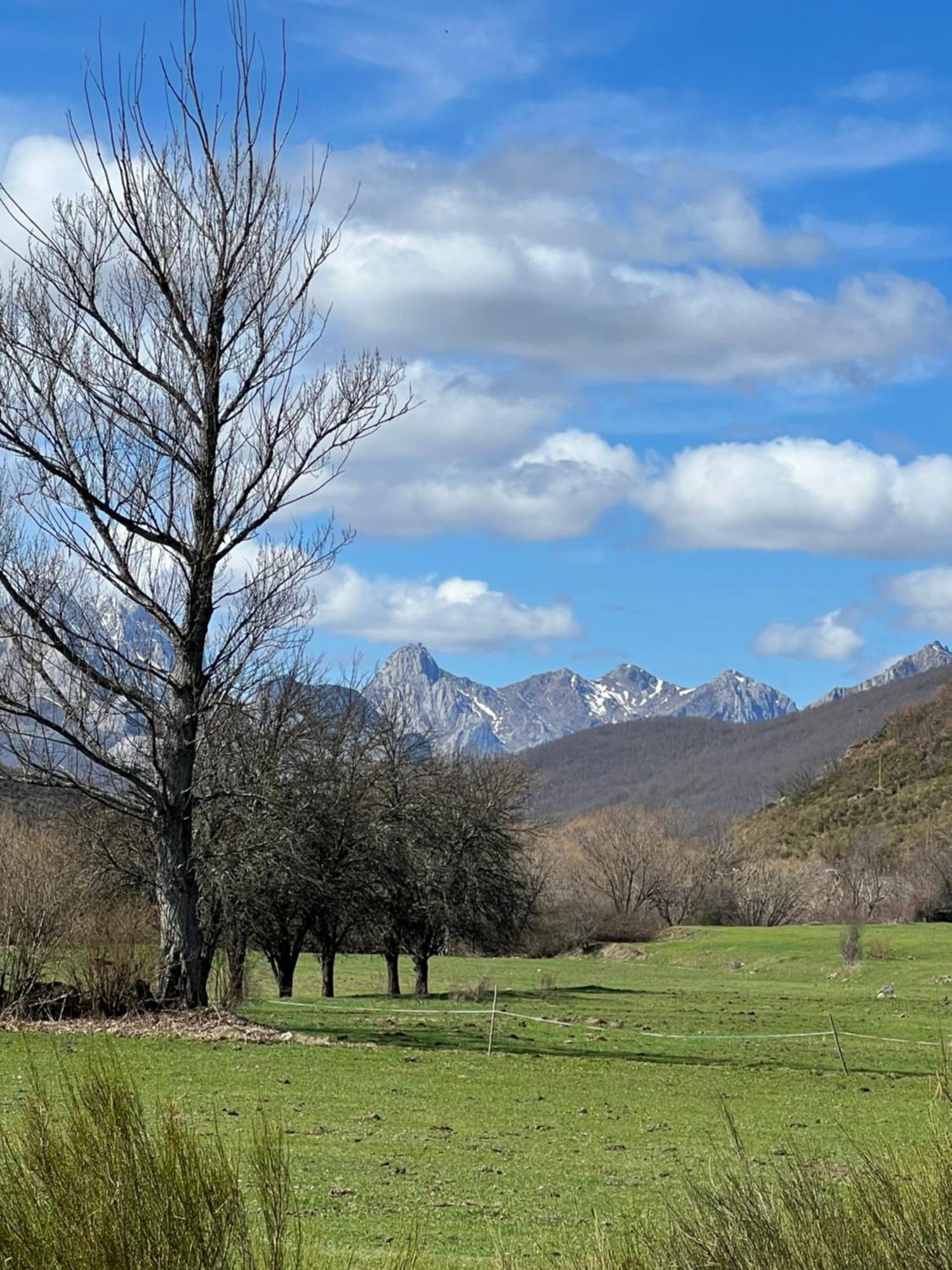Tierra De La Reina Hotel Boca de Huérgano Kültér fotó